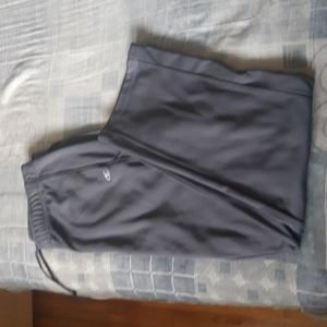 Gray Champion Track Pants